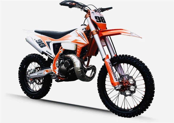 Dirt Bike MT250 XINGUIZUN